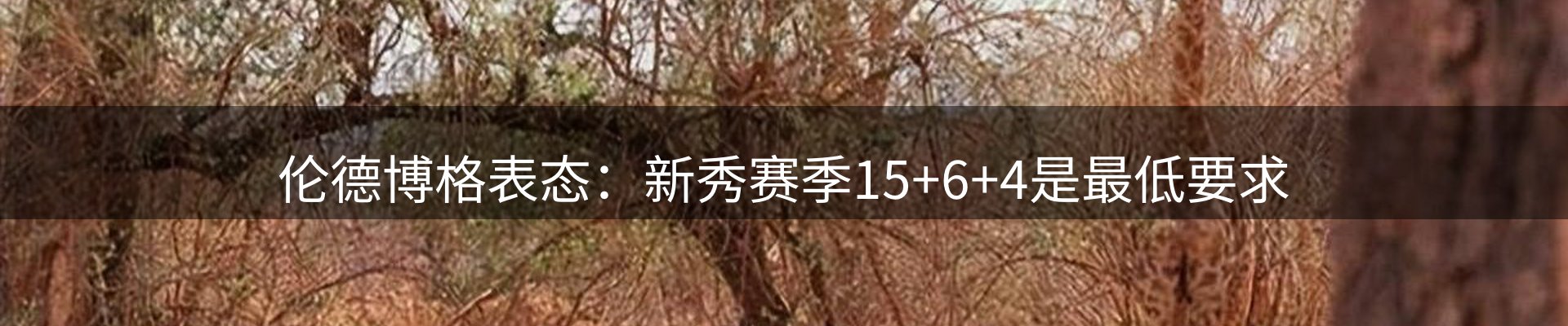 行业资讯