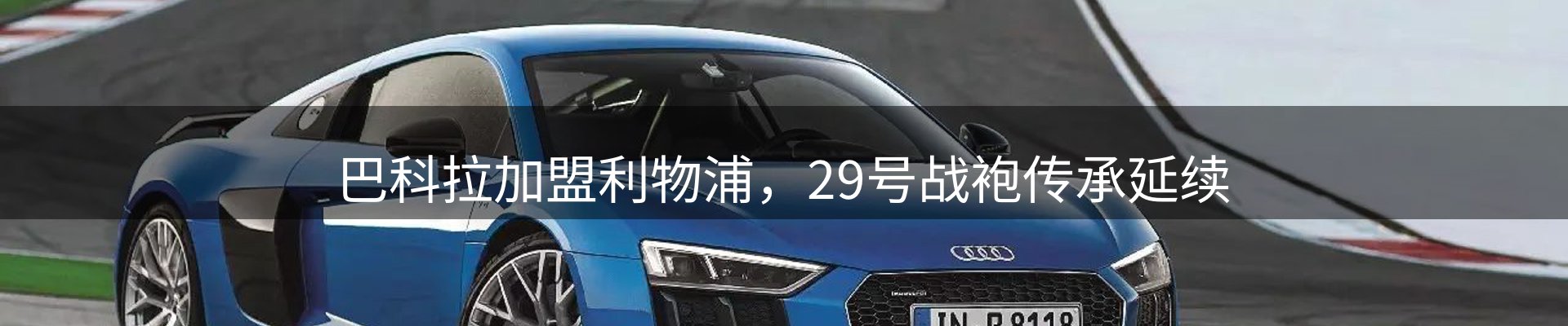 焦点选编