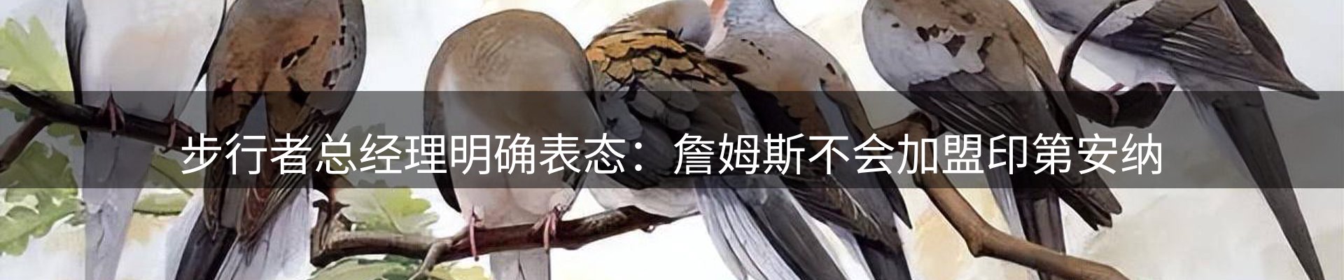 行业资讯